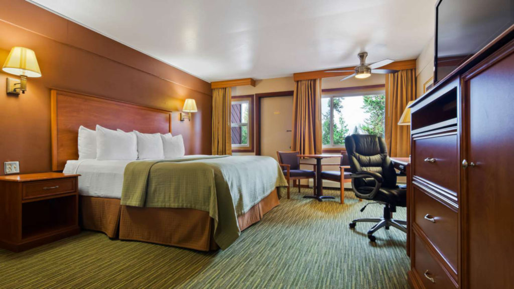 Motels in Newcastle Newcastle