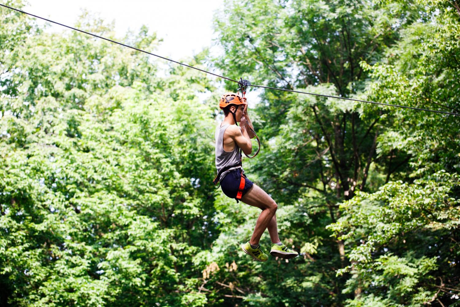 Thrill-Seeker’s Paradise: Top South Island Attractions That Include Zipline Adventures